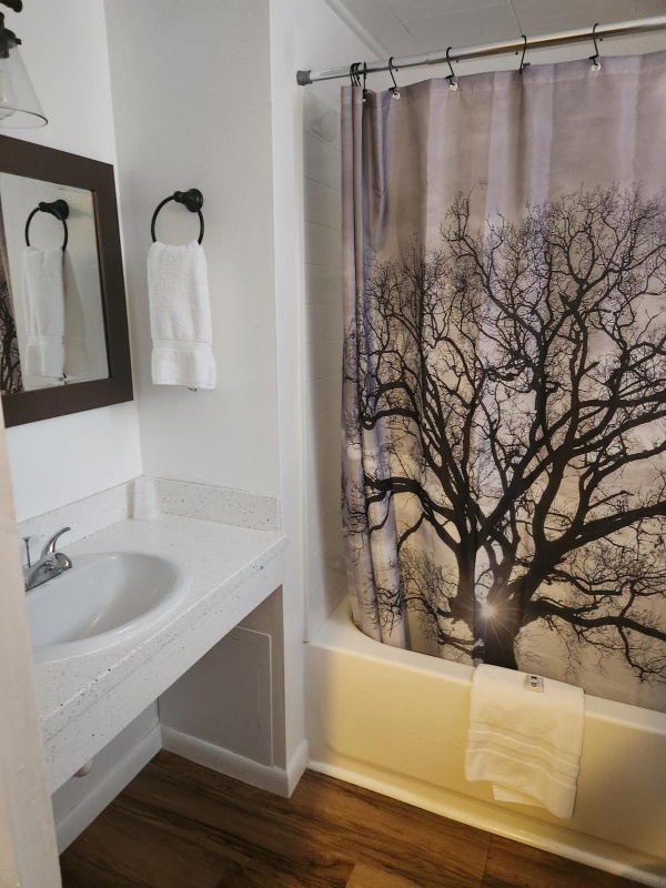 Antler Motel image 7